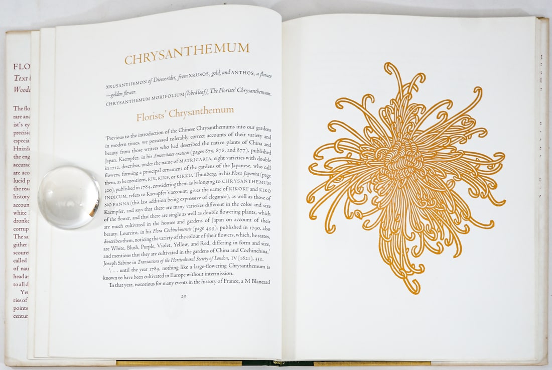 Jacques Hnizdovsky 1972 Flora Exotica SIGNED LTD (1 of 10)