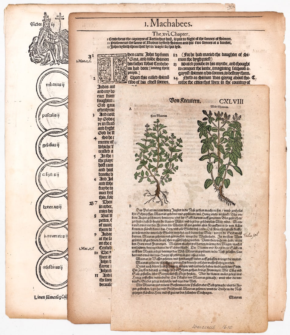 Circa 1475, 1572, 1610 Leaves (3 Leaves total) (1 of 8)