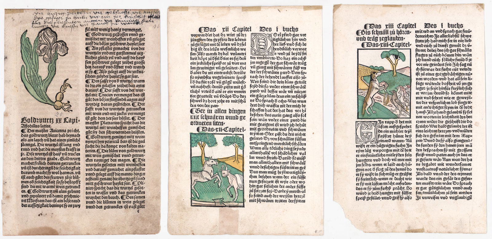 c.1508 Peter Schoeffer Woodcuts (3 Leaves) (1 of 8)