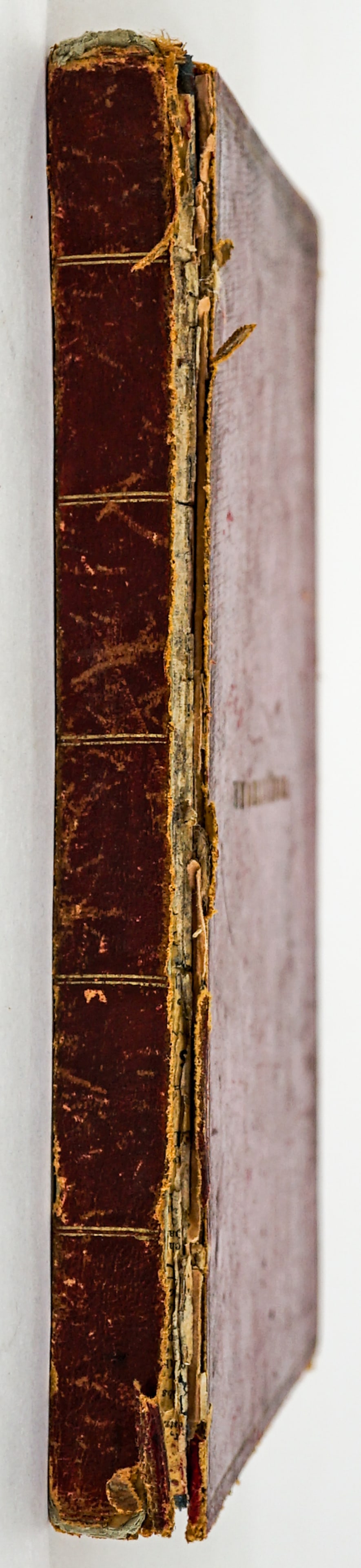 Bound Antique Engravings. 19th Century (1 of 11)