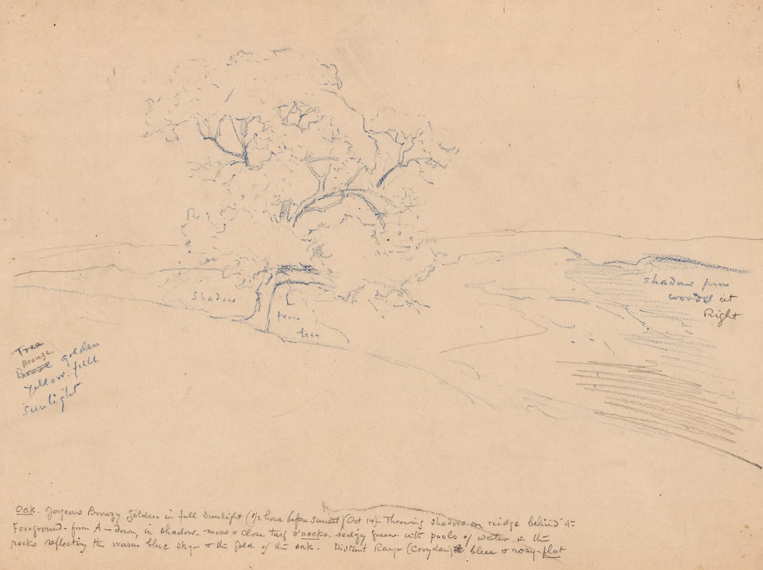 Stephen Parrish Sketch with Notes [Trees]: Stephen Parrish (American, 1846-1938) large sketch with estate stamp 'SP' on verso. Sheet measures 14.625 x 20.375 in. Unframed, loose, not glued down or mounted. Print lot measures 21.25 in. H x 15.5