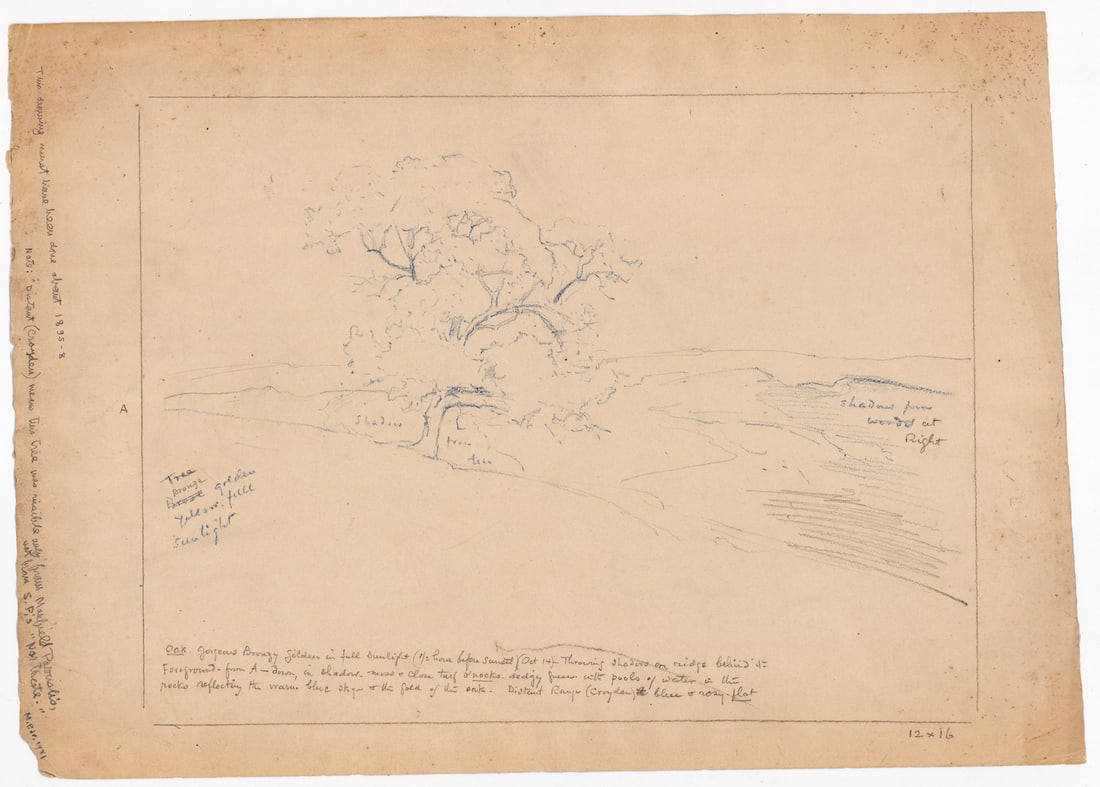 Stephen Parrish Sketch with Notes [Trees] - 2