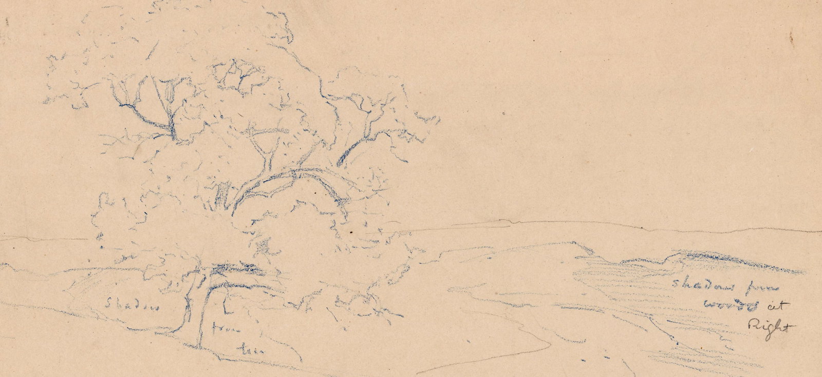 Stephen Parrish Sketch with Notes [Trees] - 3