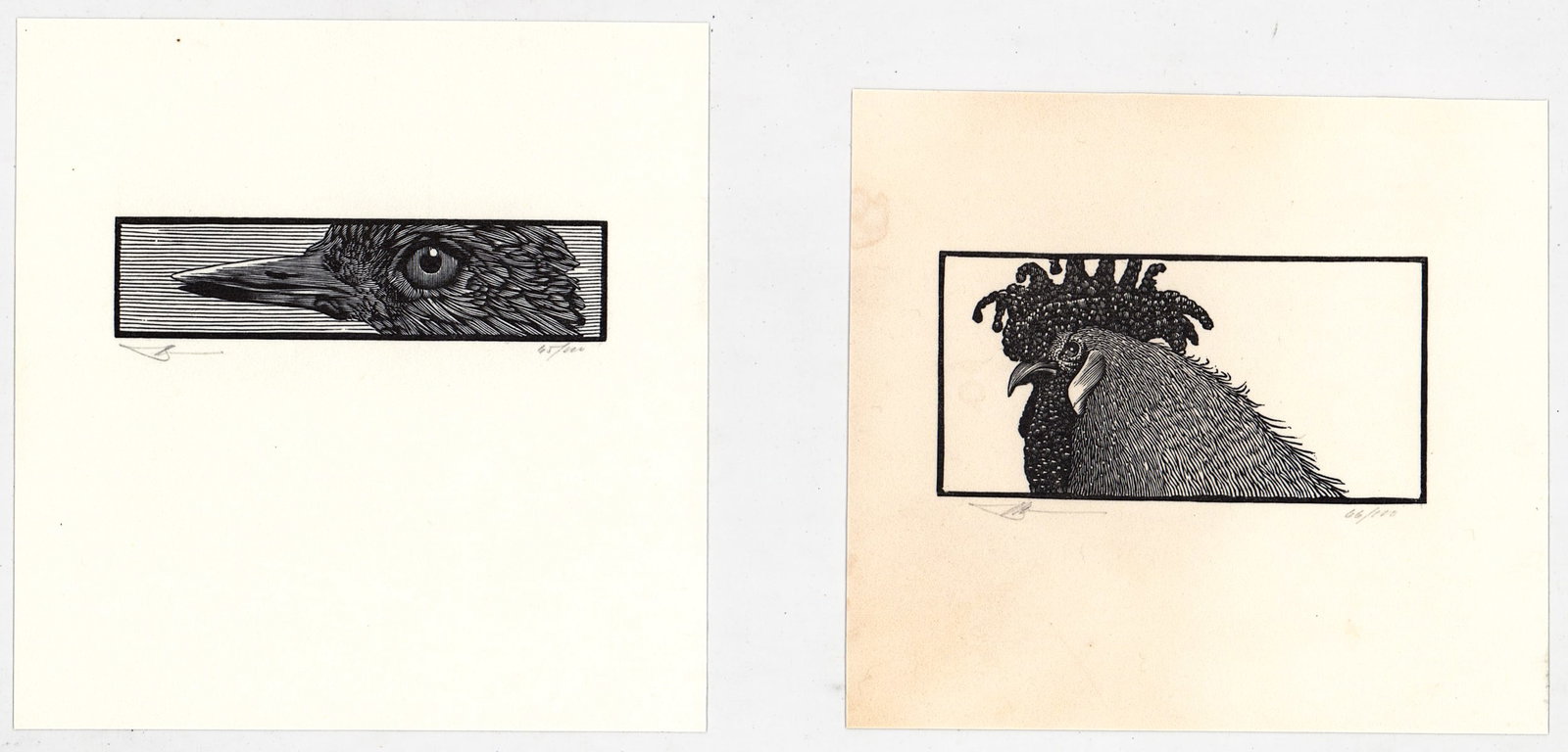 Barry Moser (2) Wood Engravings S/N Birds: Two (2) Barry Moser (American, b.1940) pencil signed and numbered wood engravings. Images measure 1 x 4 in. and 2 x 4 in. Sheets measure 5 to 5.75 in. x 5.625 in. Unframed, loose, not glued down or mo