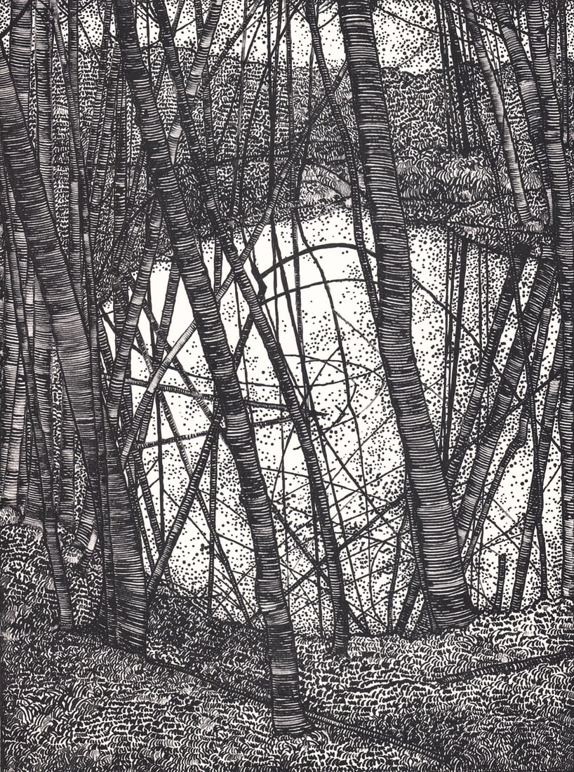 Art Hansen Litho SIGNED #13/50 'The Pond 1979' (1 of 5)
