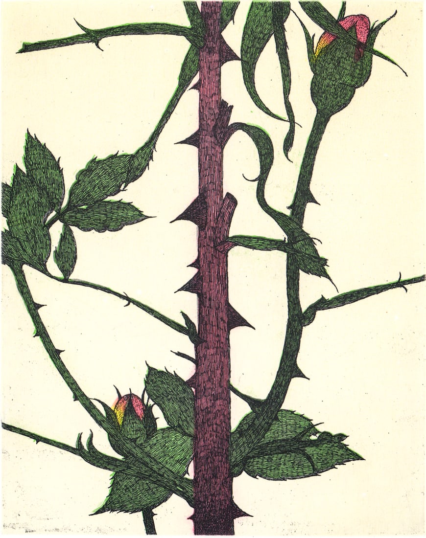 Art Hansen S/N 1991 Etching [Roses]: Art Hansen (Seattle, WA. 1929-2017) pencil signed, numbered 21/100 , dated 1991 and titled 'Roses' lower margin. Image measures 7.25 x 5.75 in. Sheet measures 15 x 11 in. Unframed, loose, not glued