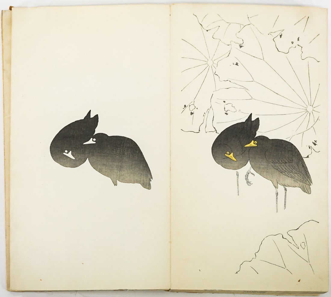 Soseki Komori (Moorhens ) Proof Portfolio (1 of 4)