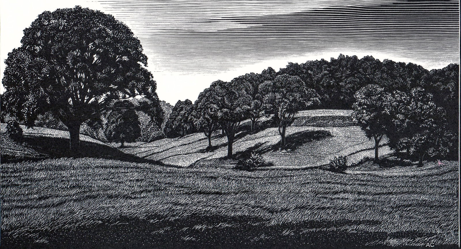 Asa Cheffetz SIGNED Wood Engraving [Trees]: Asa Cheffetz AAA artist (New York, Massachusetts, 1897-1965) original wood engraving pencil signed lower right. Image measures 5 x 9 in. Sheet measures 9 x 11.375 in. Unframed, loose, not glued down o