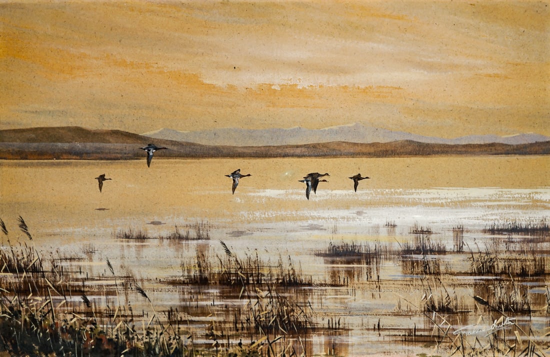 Signed Goache Ducks [Duck Hunting] (1 of 4)