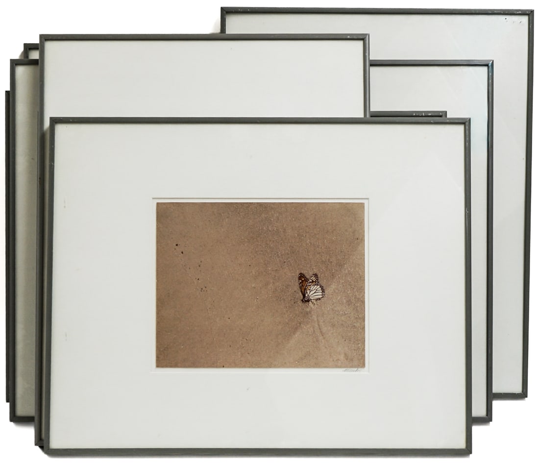 Martha Armstrong Framed Photographs (9): Professionally framed they measure 9.25 x 6.25 inches to 11 x 13 inches. Lot measures 25 x 19 x 7 inches framed for shipping purposes. This lot requires the use of an outside shipper. The absence of