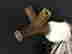 item-54985880=2
