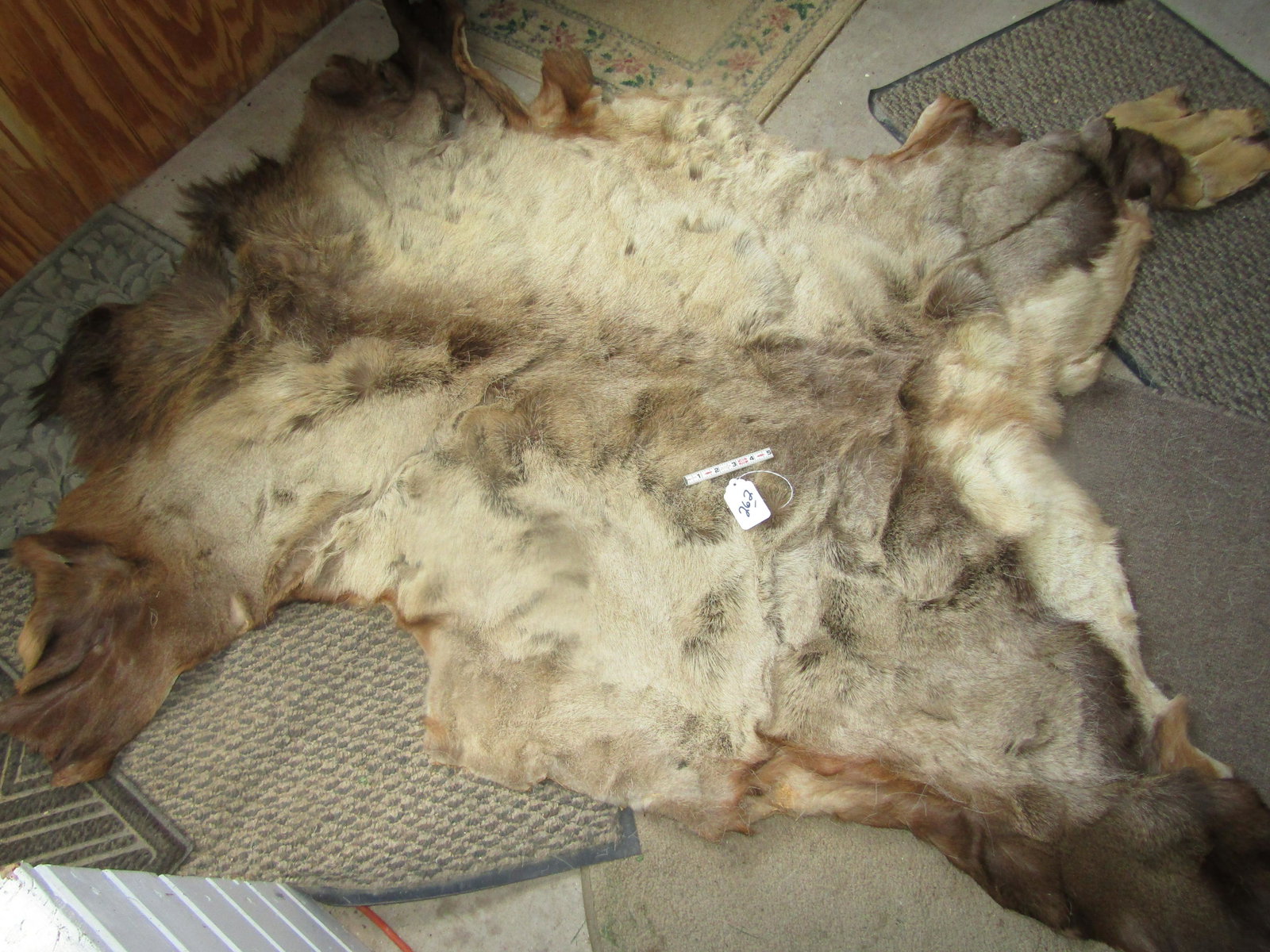 Elk hide: Large tanned Elk hide, good cond