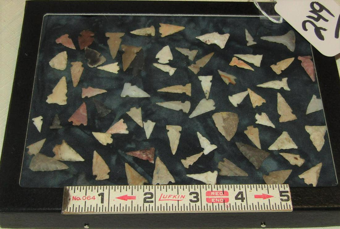 Bird points (1 of 1)