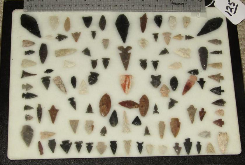 Bird points (1 of 1)