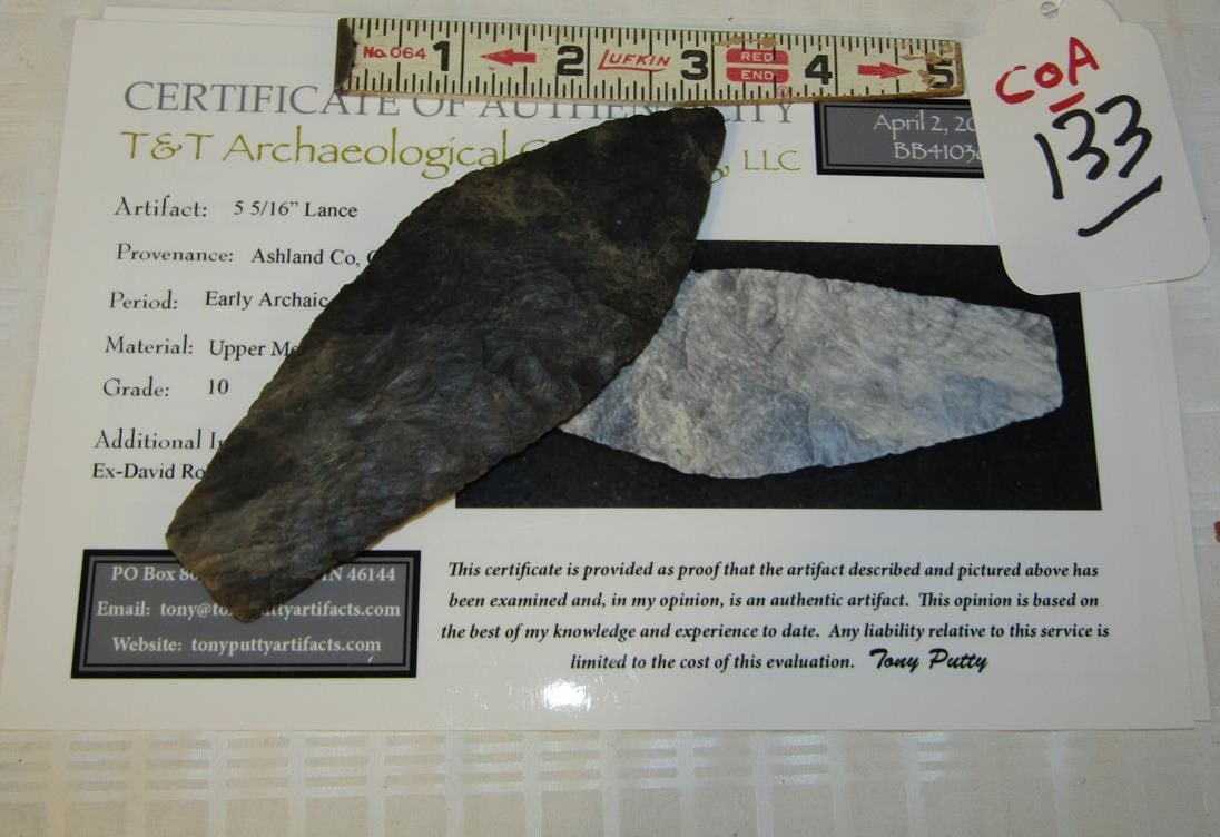 Putty COA: Putty coa 5 5/16" Lance, Ohio