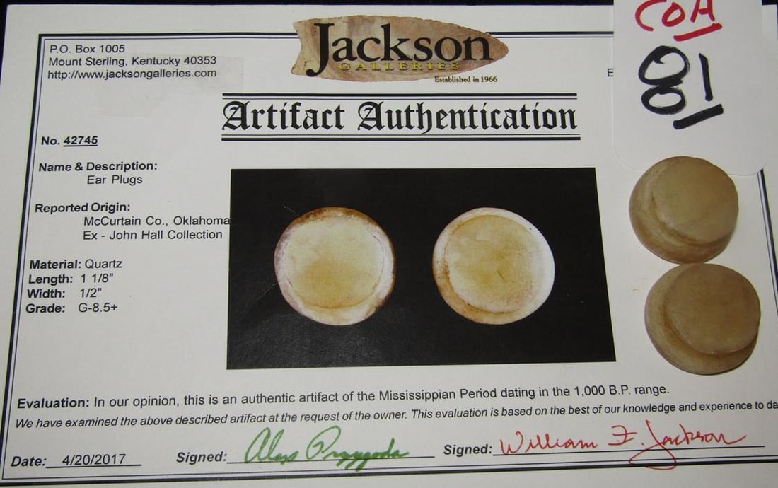 COA ear plugs (1 of 2)