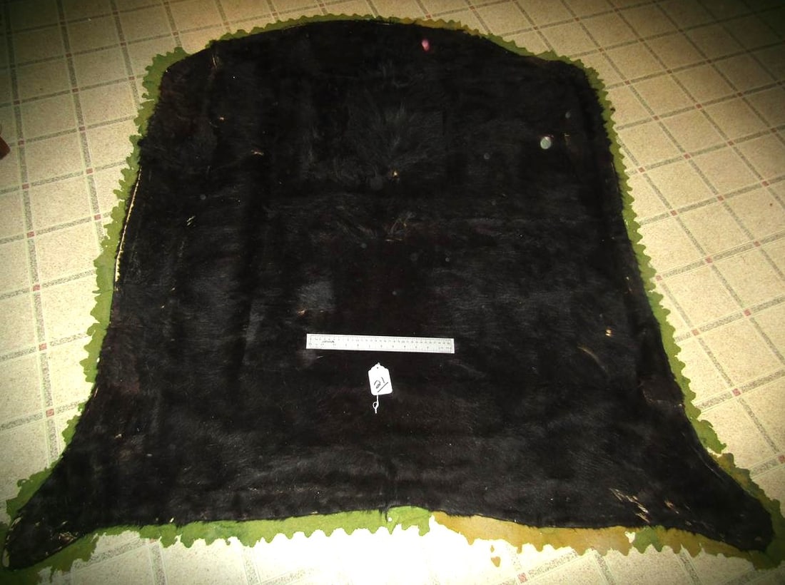 Black Bear rug (1 of 4)