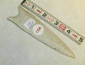 COA arrowhead