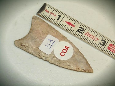 COA Arrowhead