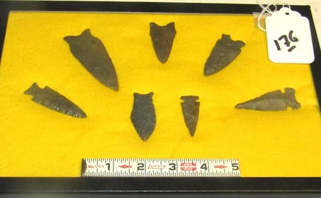 7 Arrowhead