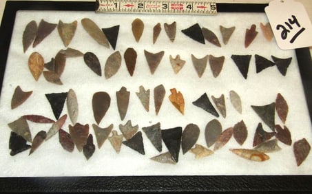 Bird arrowheads
