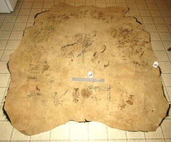 Painted hide
