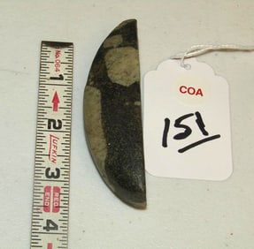 Jackson COA