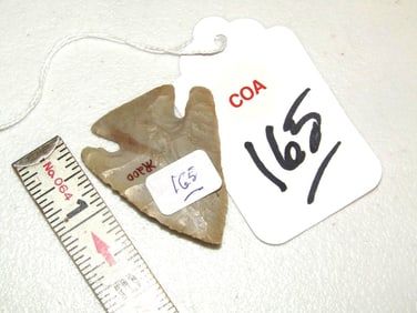 Jackson COA