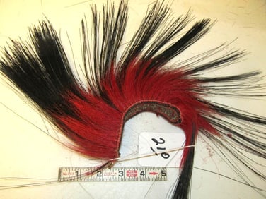 Hair Roach