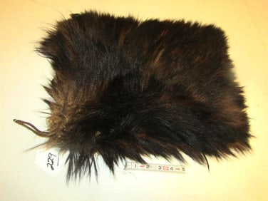 Bear bag