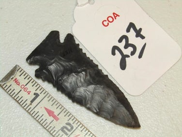 COA Arrowhead