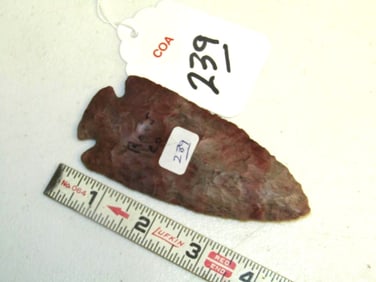 COA Arrowhead
