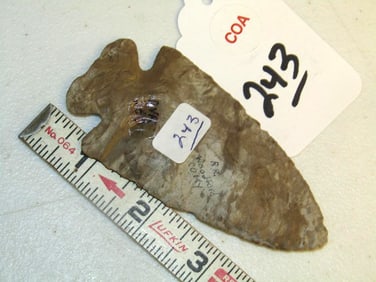COA Arrowhead