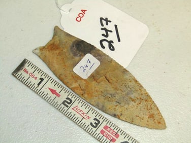 COA Arrowhead