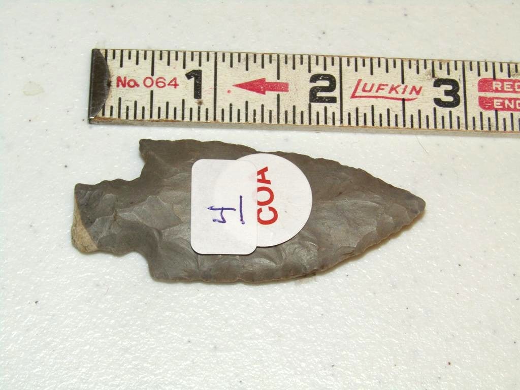 Motley coa: Motley coa 3 3/4" Benton, Arlansas