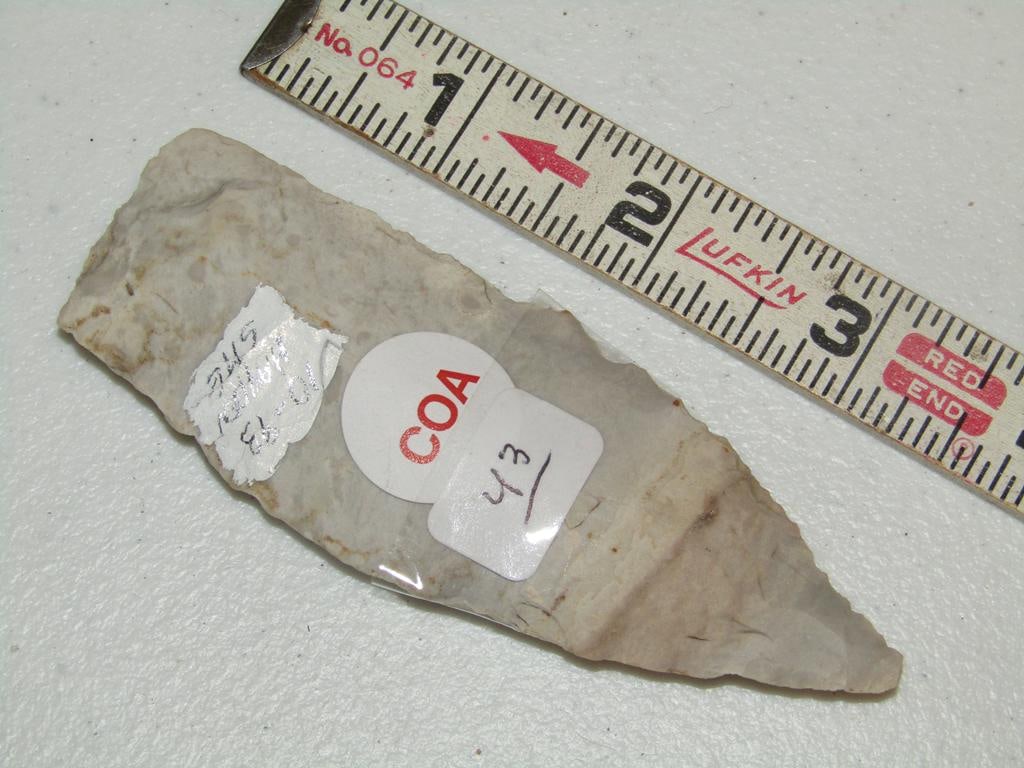 Motley coa: Motley coa 3 7/8" Sedalia, Missouri