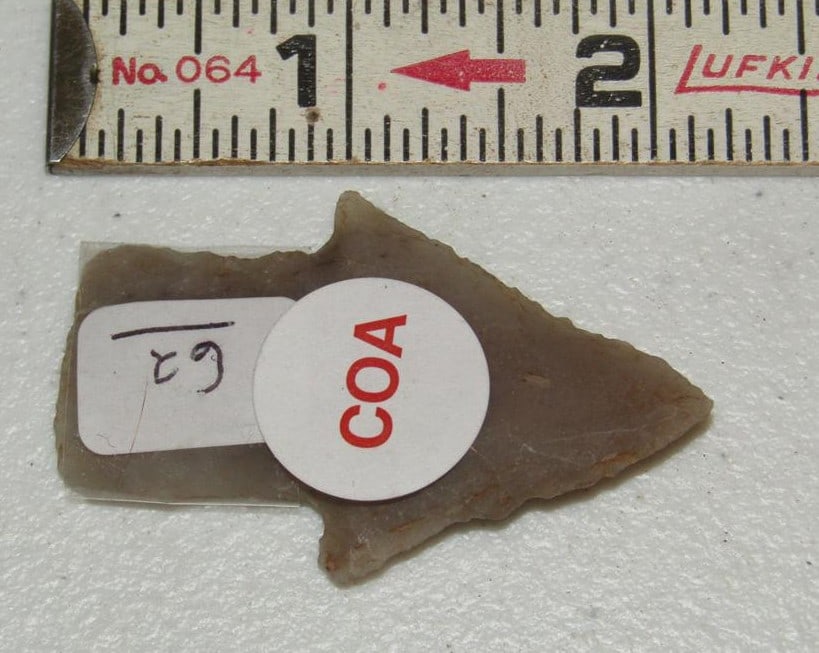 Motley coa: Motley coa 2 1/8" Andice point, Arkansas