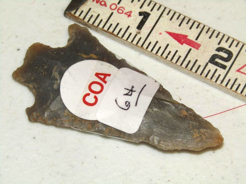 Motley coa: Motley coa 2 1/2" Austin point, Texas