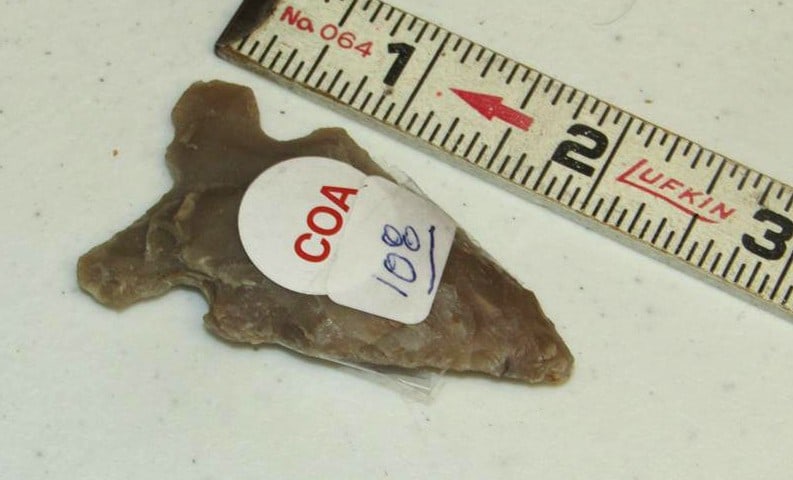 Motley coa: Motley coa 2 3/8" Hickory Ridge point, Arkansas