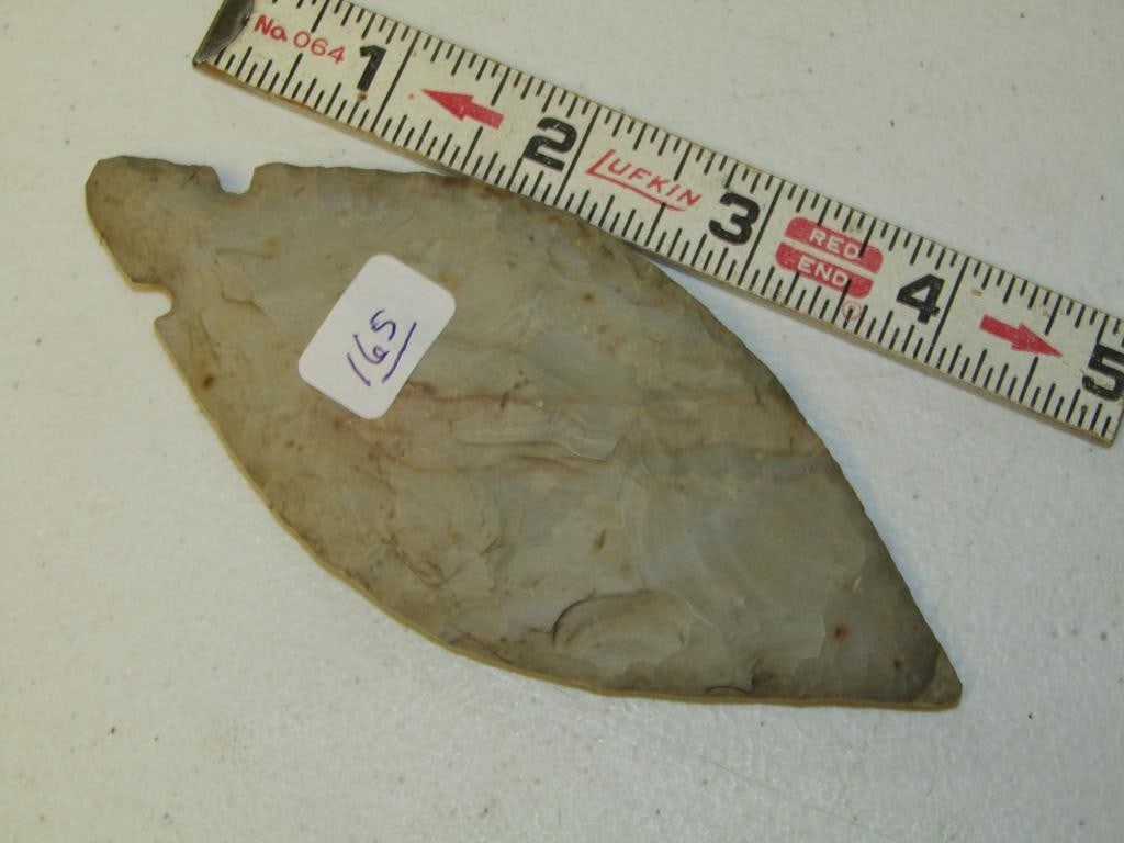 Point: 5" Turkey tail point