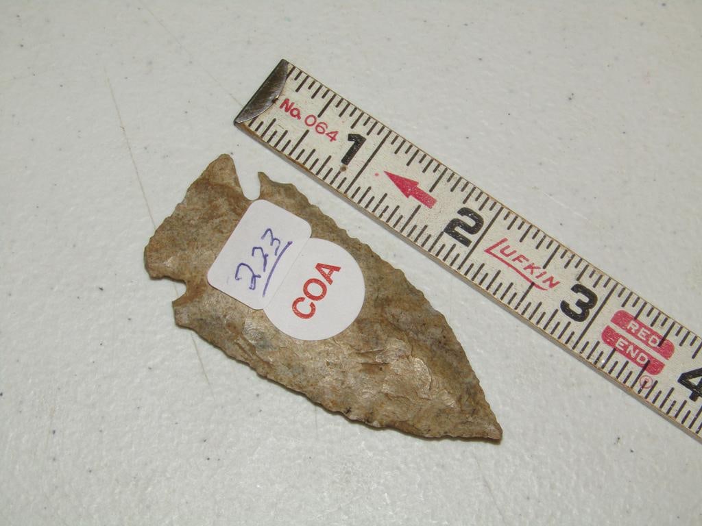 COA point: Partain coa 2 7/8" Pine Tree point, Tennessee