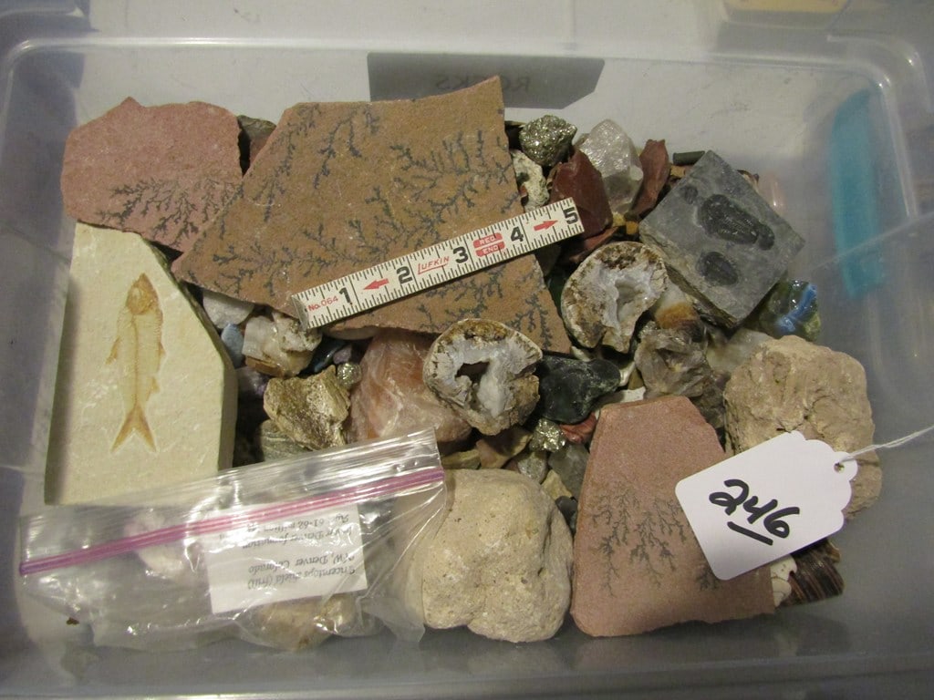 Misc fossils etx: Plastic container with 16 lbs of shell, fossils etc etc