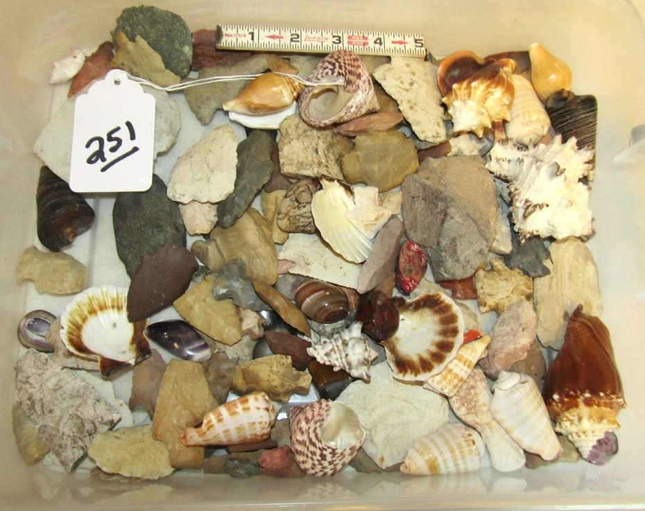 Misc items: Plastic container with numerous shells, agates, flint points etc