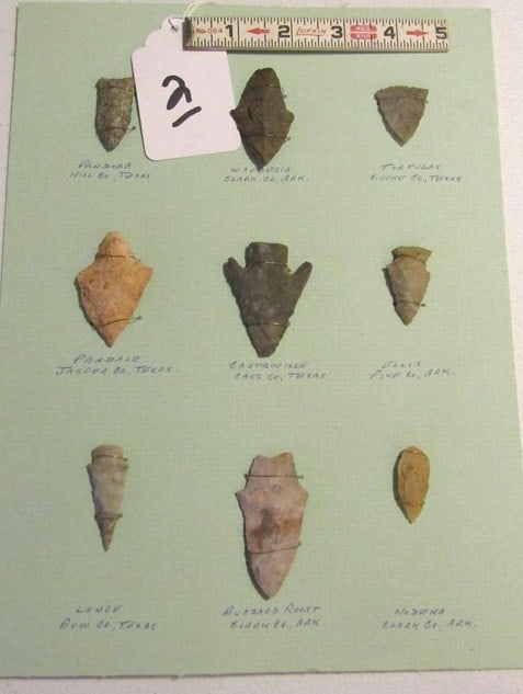 9 points: Display card with information, largest 2 1/4", Cook collection, not examined for coa