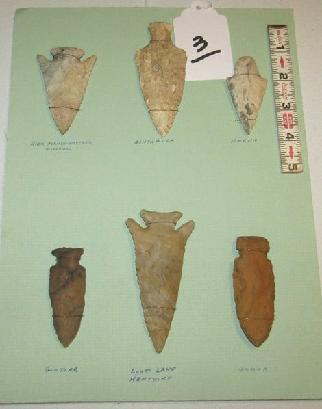 6 points: Display card with information, largest 4", Cook collection, not examined for coa