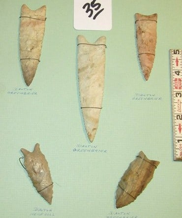 5 points: Display card with 5 points with information, largest is 5", Cook collection, not examined for coa