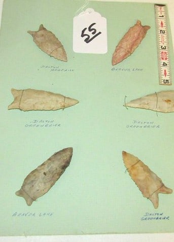 6 points: Display card with 6 points and information, Cook collection, not examined for coa