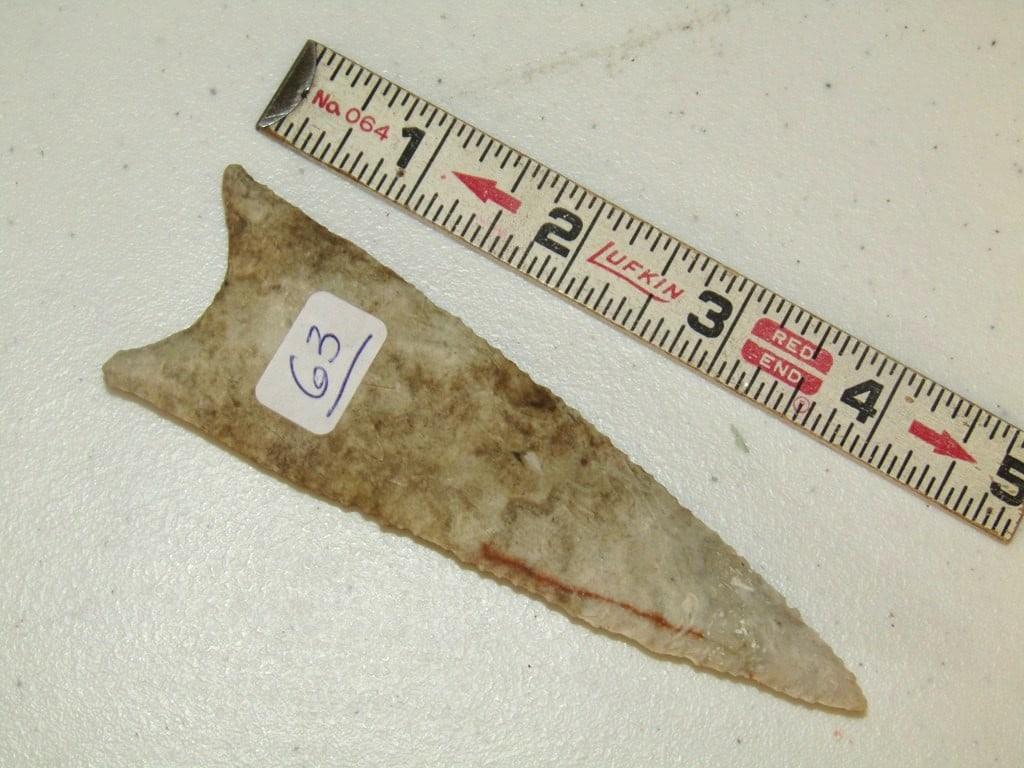 Point: Large 4 3/4" Dalton point, not examined for coa