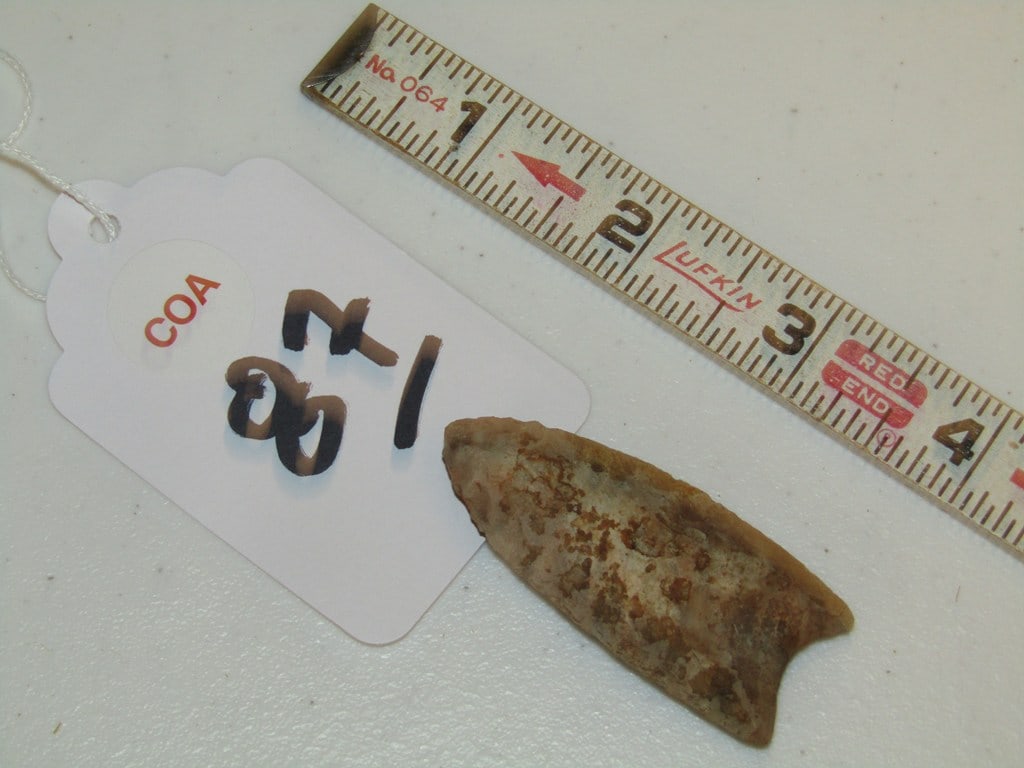 COA point - 2
