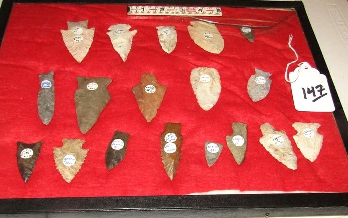 18 points: Display card 18 points with information, largest 3 1/8", Cook collection, not examined for coa